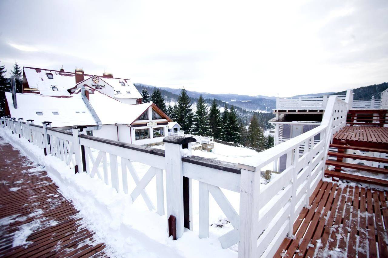 Фото Отели Welland Отель Яремче 19